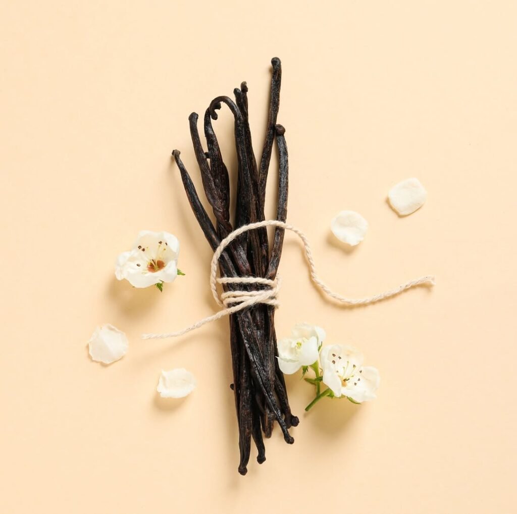 Concept of aromatherapy with aromatic vanilla extract